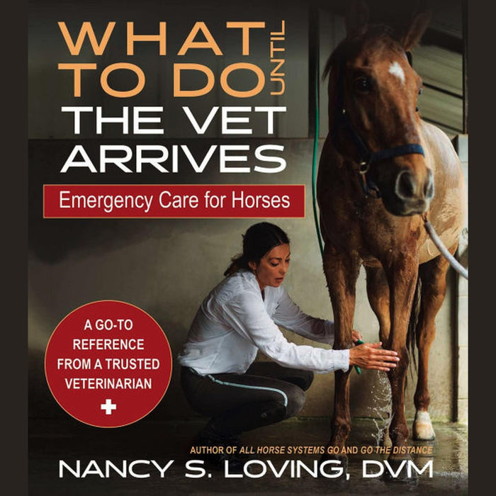 What to Do Until the Vet Arrives