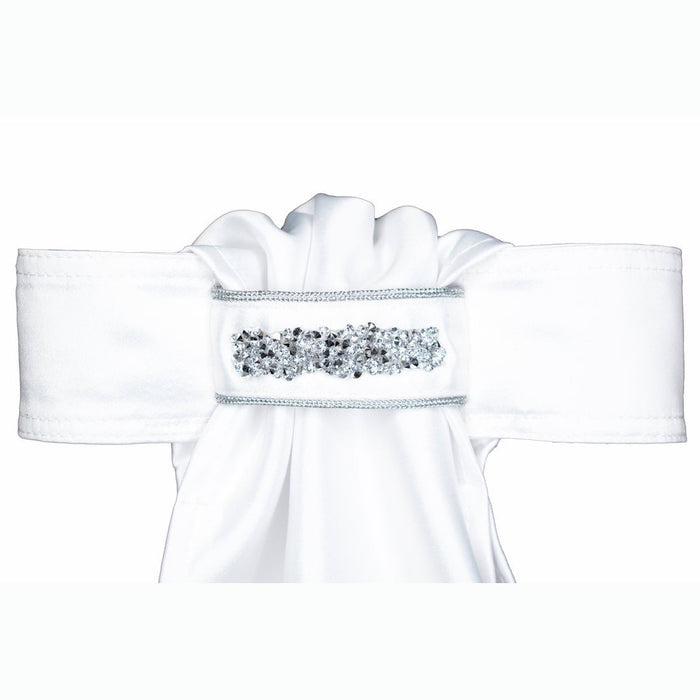 All Tied Up Women's Fancy Beaded Stock Tie