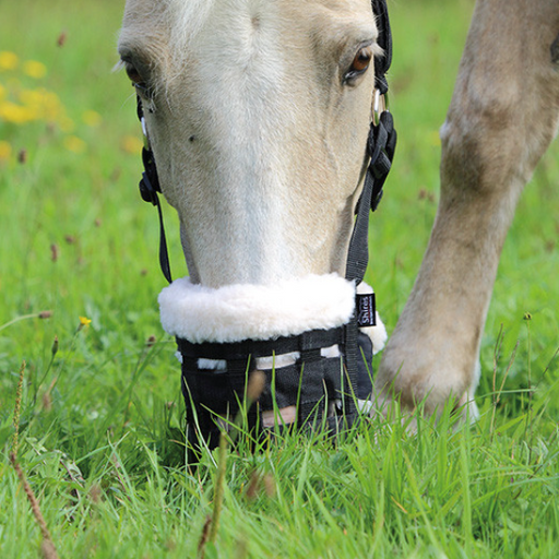 grazing-muzzle