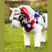 group_lifestyle_toyponyflowersash_multi_1