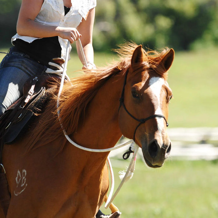 Parelli Natural Hackamore