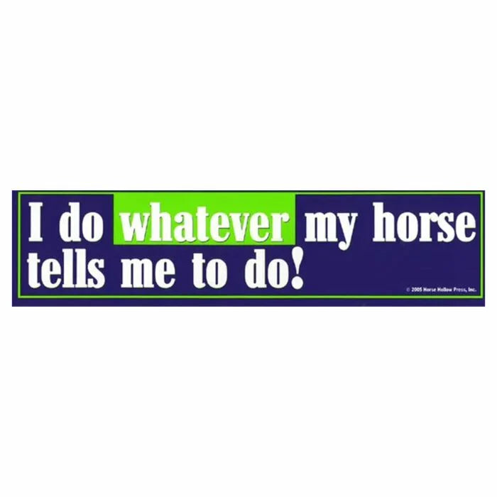 Bumper Sticker