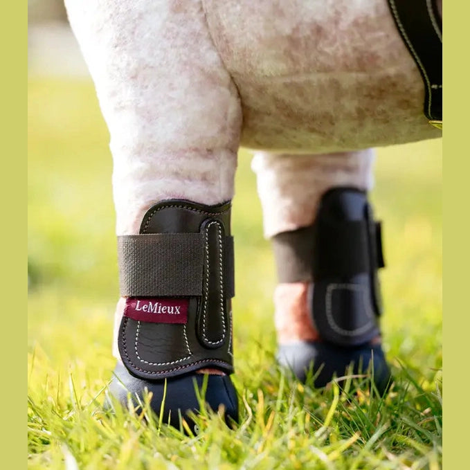 LeMieux Toy Pony Capella Boots Brown