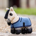 it06395_lifestyle_tinypony_dream_1