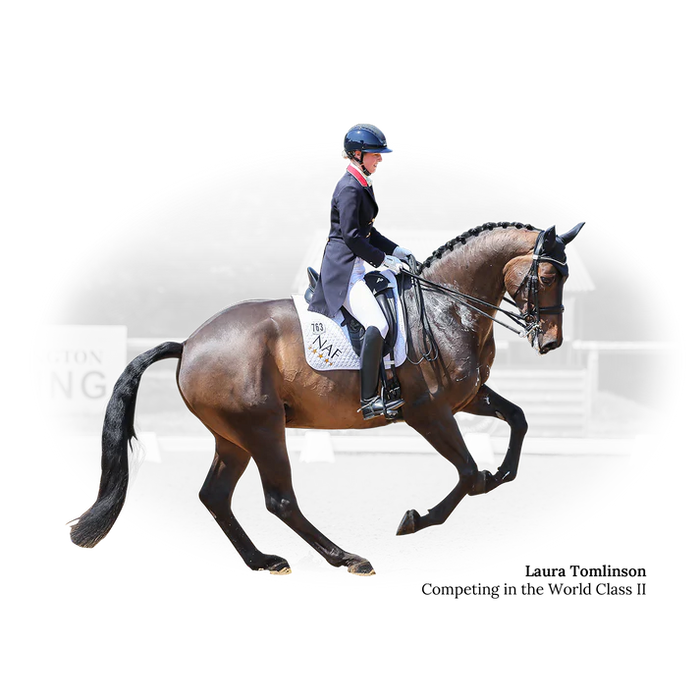 Fairfax 17.5" Adjustable Tree World Class II Dressage Black