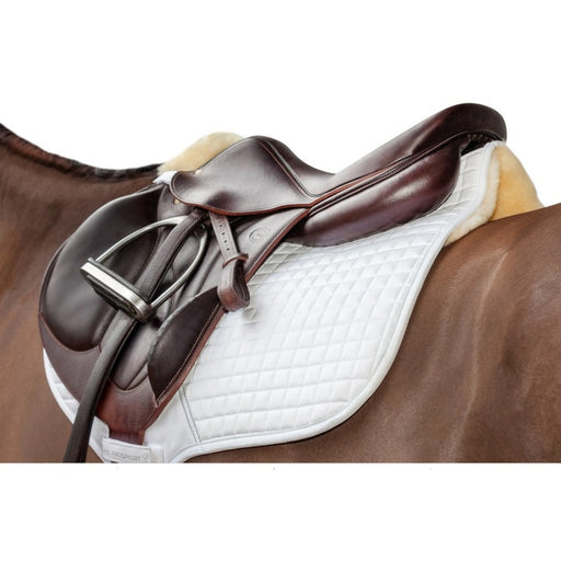 lemieuxmerinoccpadundersaddle