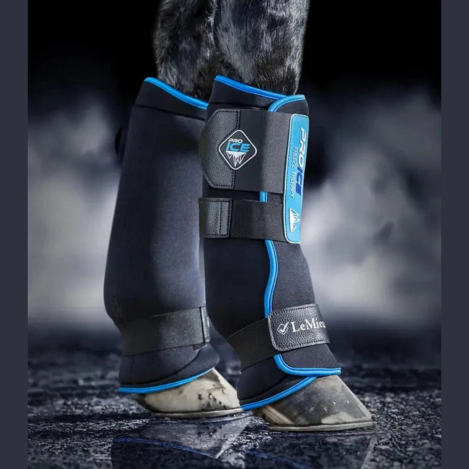 LeMieux ProIce Freeze Boots