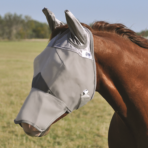 long-nose