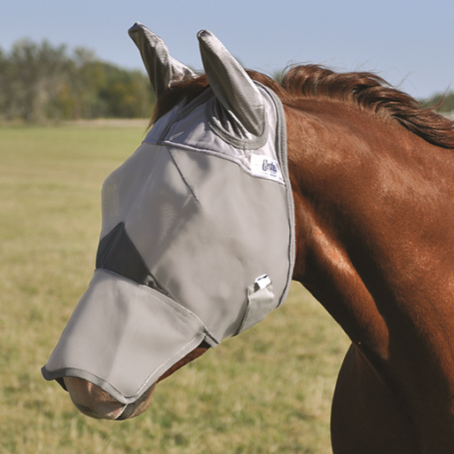 long-nose