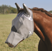 long-nose