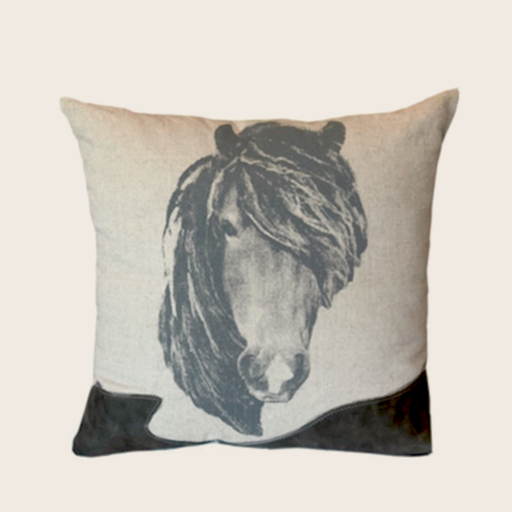 merch-pillow