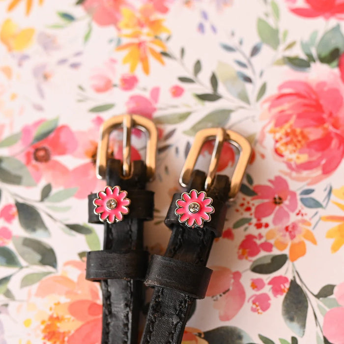 Dreamers & Schemers Blingy Spur Straps