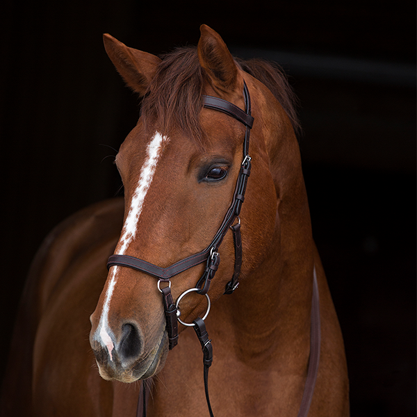 rhino-plus-200g-recoveredpsd-0000-shad4d-nab0