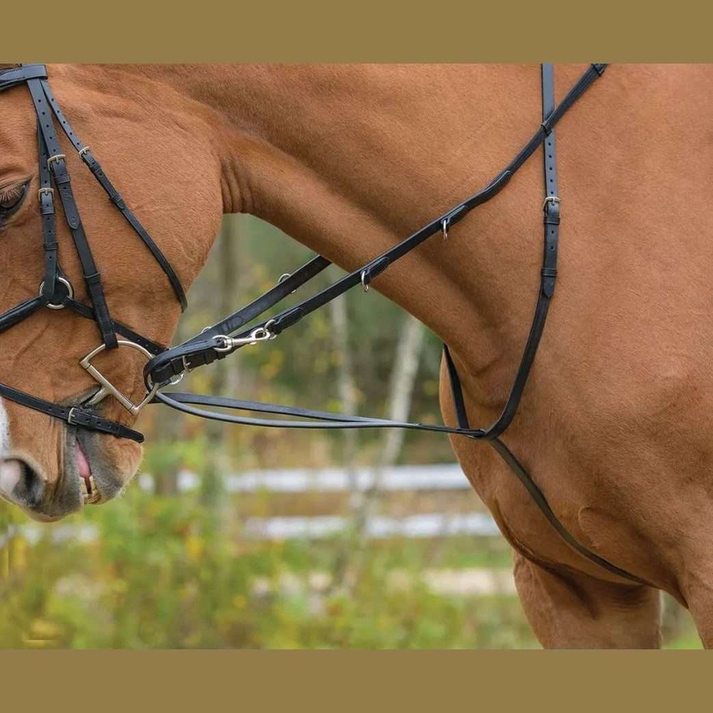 Martingales