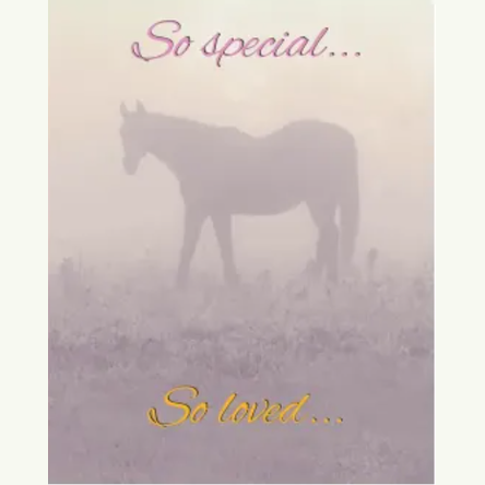 speciallove