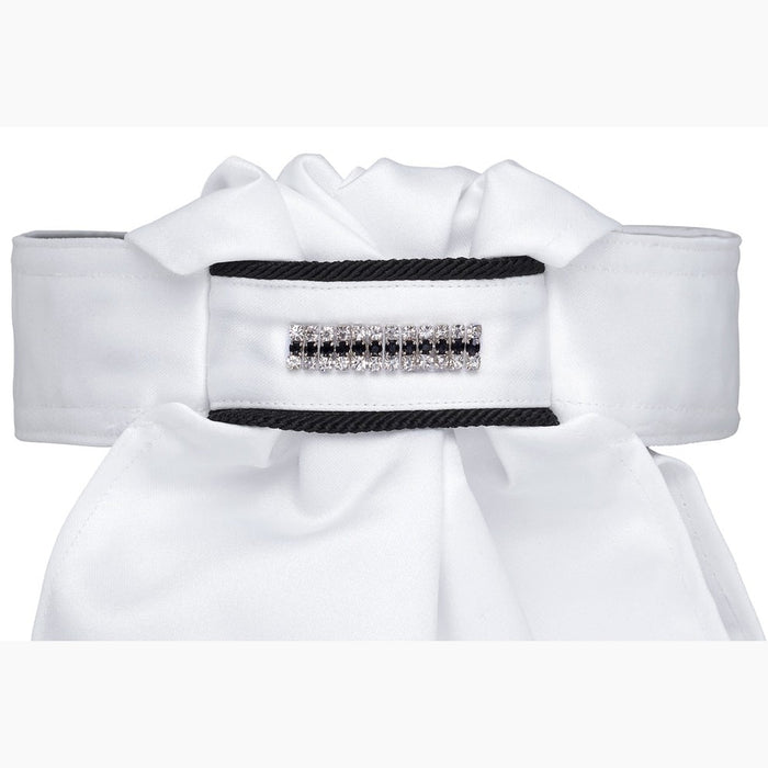 All Tied Up Women's Fancy Beaded Stock Tie