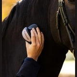 LeMieux Massage Brush
