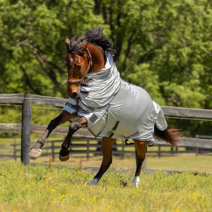Equinavia Aktiv Athletic Detachable Neck Fly Sheet